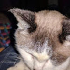 Meet your Posher, Jane